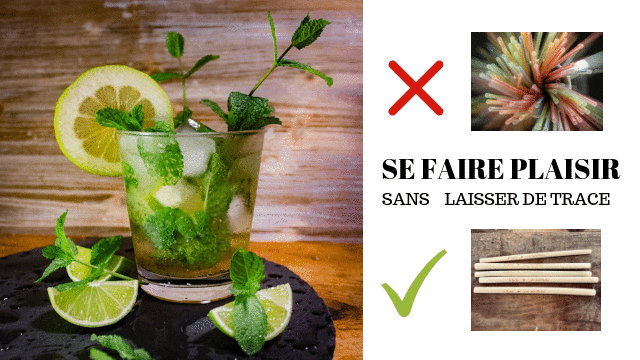 Image de couverture de la collecte LE MOJITO ECOLO
