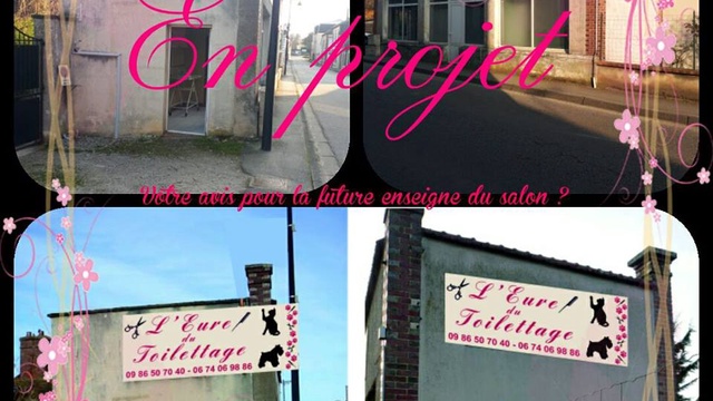 Vidéo de présentation de la collecte