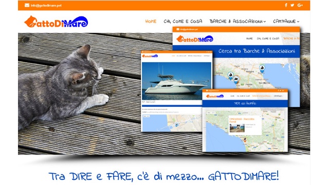 Immagine di copertina del progetto GattoDiMare