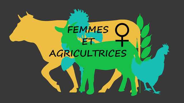 Vidéo de présentation de la collecte