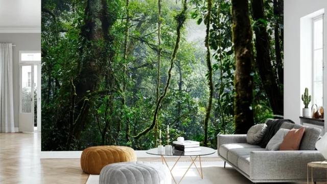 Cover image of the project Institut Tao