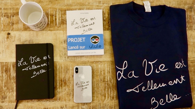 Cover image of the project La Vie est Tellement Belle...