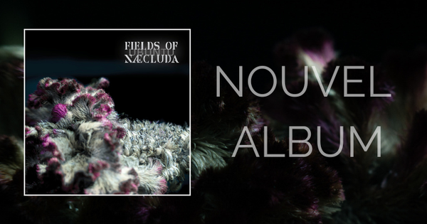 Deuxième album de Fields of Naecluda : UBUNTU - Ulule