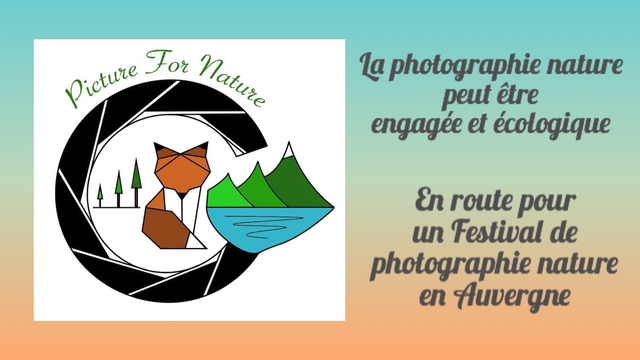 Cover image of the project Picture For Nature