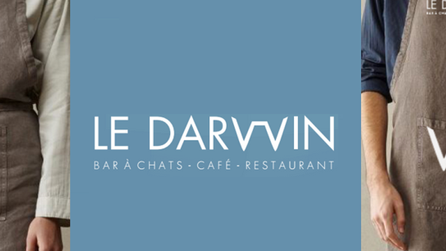Cover image of the project LeDarwin