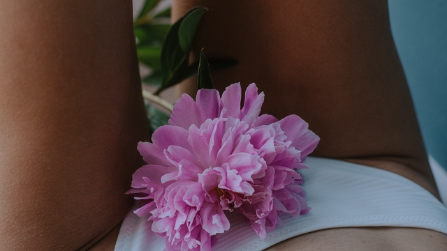 Cover image of the project Des culottes menstruelles jolies et éco-responsables 🦋
