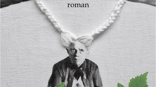 Cover image of the project "Les Framboisiers au goût de rouille", roman en prévente !
