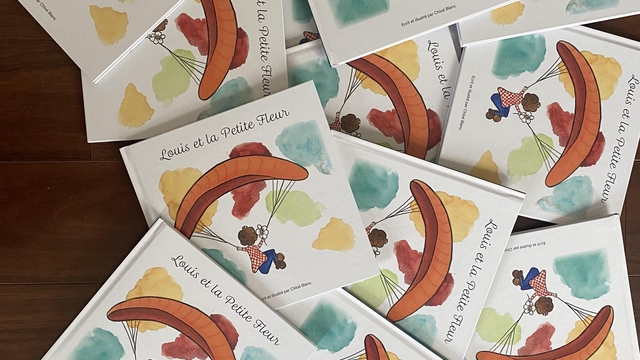 Cover image of the project LOUIS ET LA PETITE FLEUR