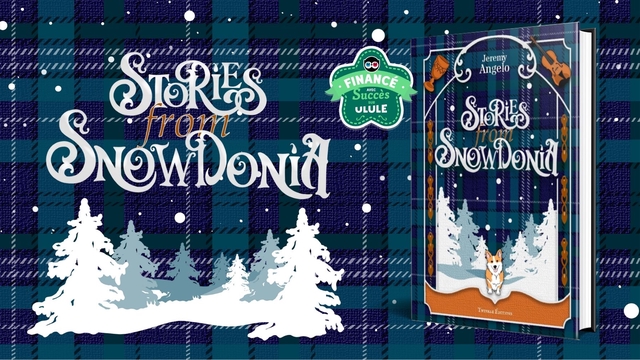 Cover image of the project Stories From Snowdonia