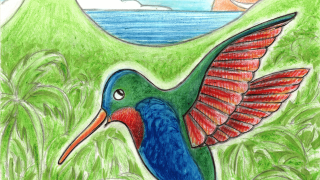 Cover image of the project Spectacle bébé 6 mois-4 ans : Ti’ Colibri
