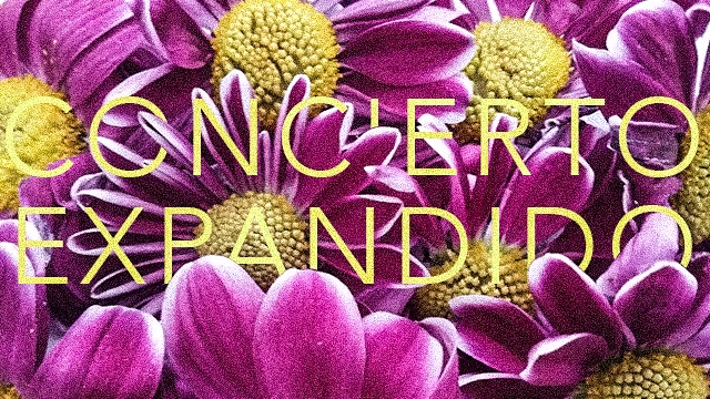 Imagen de portada del proyecto Poderio Vital : El concierto expandido en Barcelona 