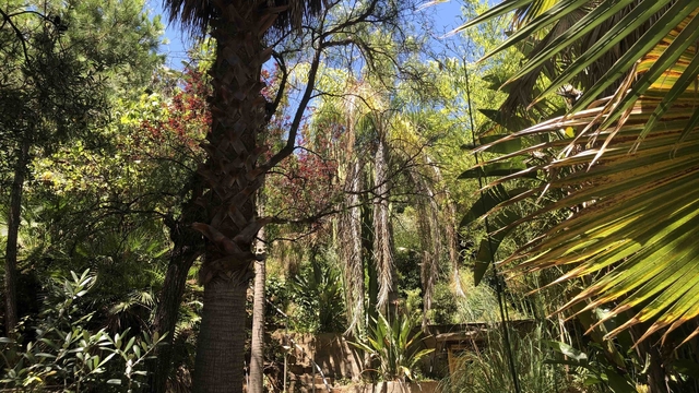 Cover image of the project Sauvons le jardin de Guadalm