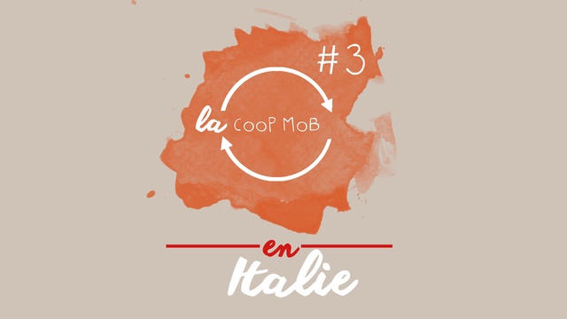 Vidéo de présentation de la collecte