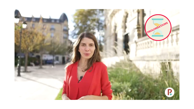 Video presentation of the project