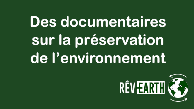 Video di presentazione del progetto