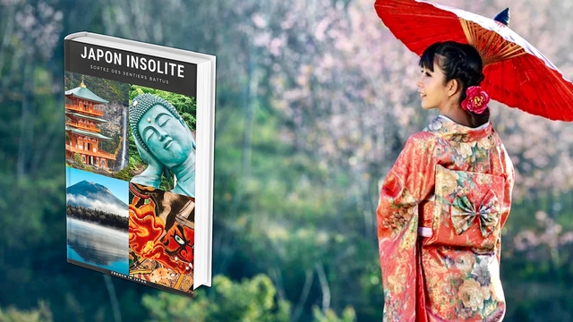 Image de couverture de la collecte JAPON INSOLITE