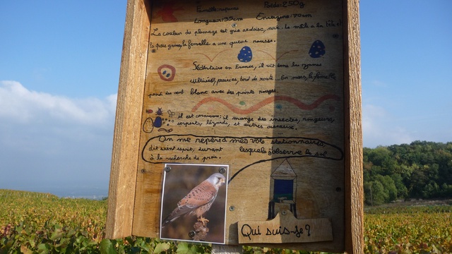 Cover image of the project SENTIER NATURE DE MONTMELAS