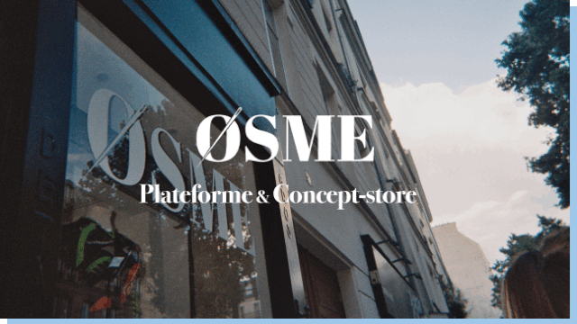 Video presentation of the project