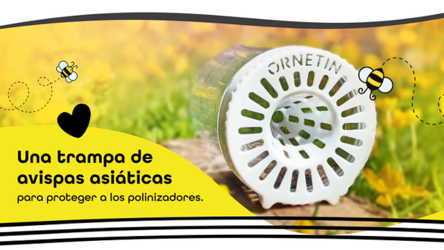 Imagen de portada del proyecto Ornetin : Trampa de Avispas Asiáticas Para Todos