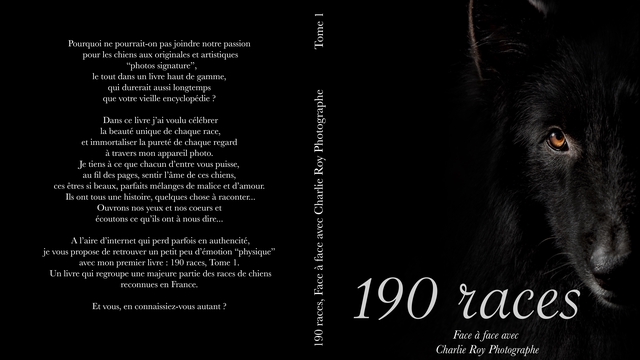 Cover image of the project 190 races, face à face avec Charlie Roy Photographe