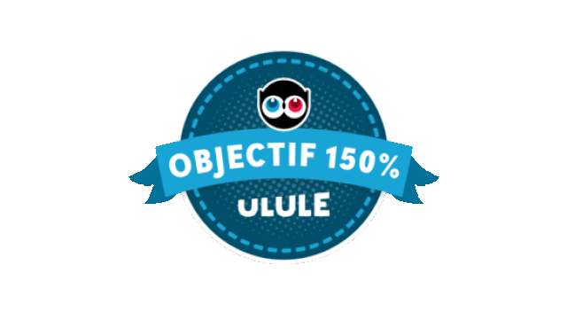 Video presentation of the project