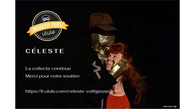 Video presentation of the project