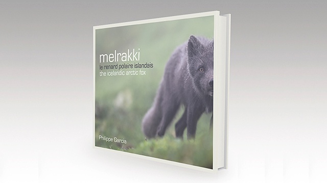 Cover image of the project Melrakki, le renard polaire Islandais.