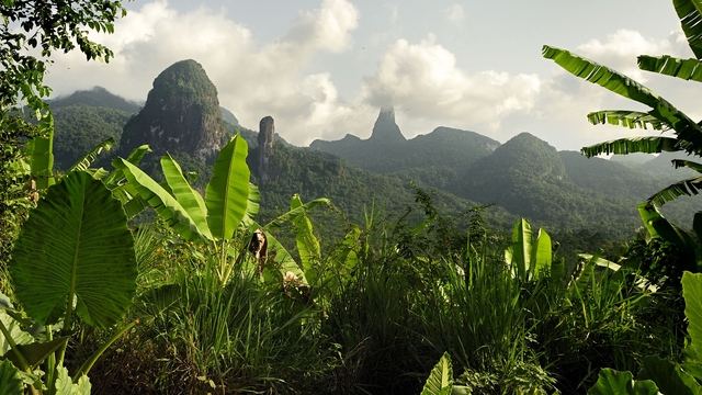 Cover image of the project São Tomé-et-Príncipe « archipel de biodiversité » II