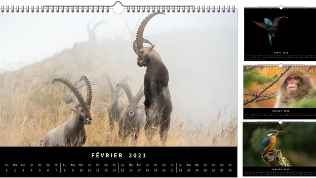 Cover image of the project Calendrier Photo 2021