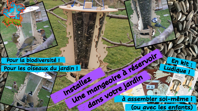 VGEBY Abreuvoir Pour Oiseaux 4pcs Pour Animaux De Compagnie Boisseur