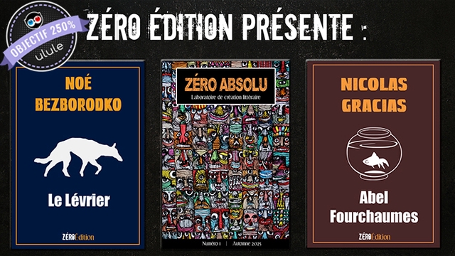 Imagen de portada del proyecto Zéro Édition