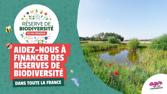 Video presentation of the project