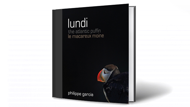 Cover image of the project Lundi, le macareux moine Islandais