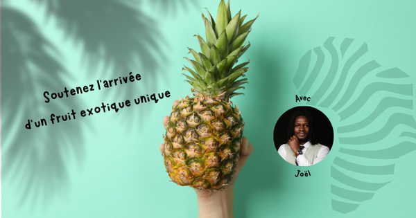 L’ananas pain de sucre débarque L’ananas pain de sucre débarque