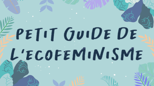Image de couverture de la collecte Petit guide de l'écoféminisme