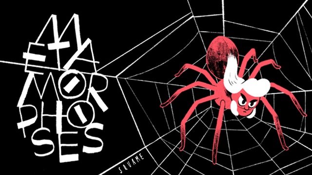 Cover image of the project Metamorphoses
