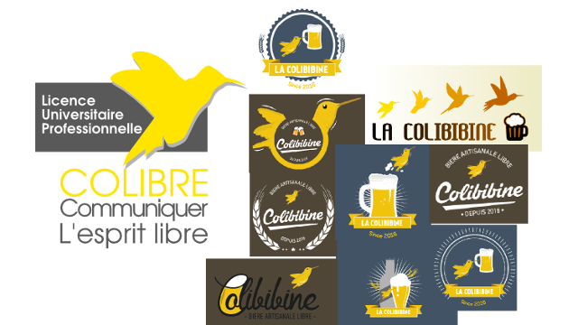 Cover image of the project CoLiBibine 2016
