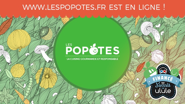 Video presentation of the project