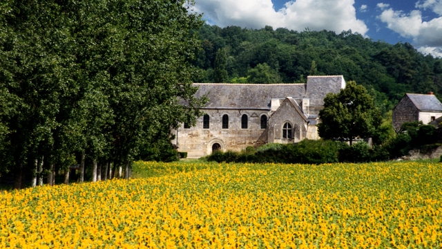 Cover image of the project Sauvegardons le Sanctuaire de Cravant