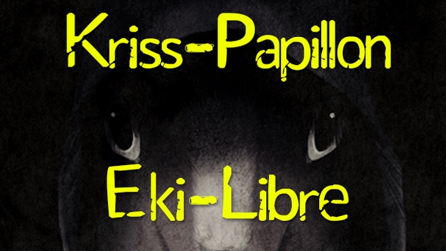 Cover image of the project EKI-LIBRE