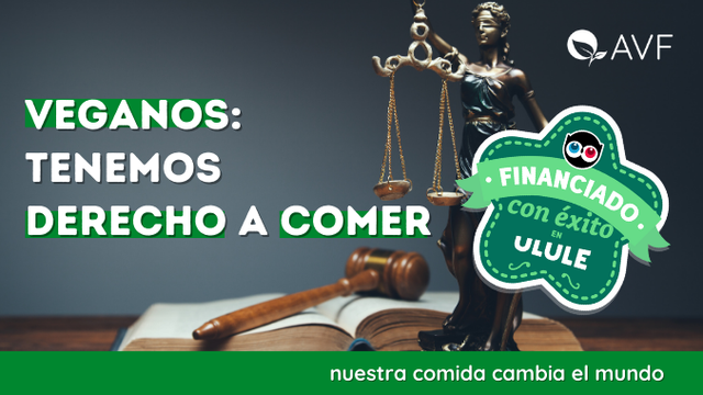 Video de presentación de tu proyecto