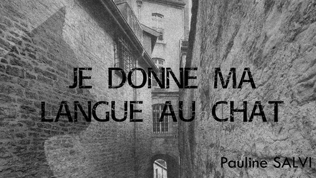 Cover image of the project Je donne ma langue au chat