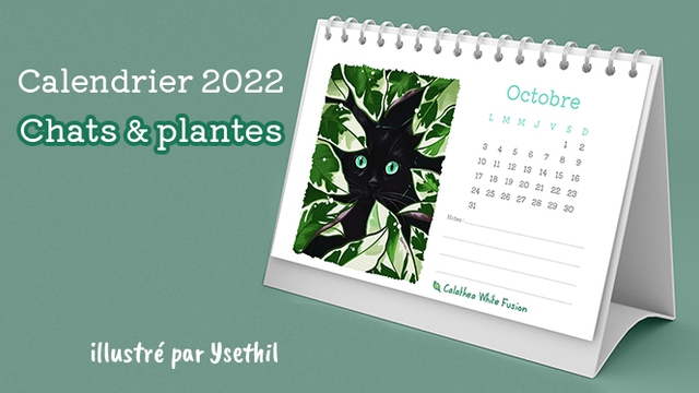 Cover image of the project Calendrier illustré 2022 : Chats & plantes