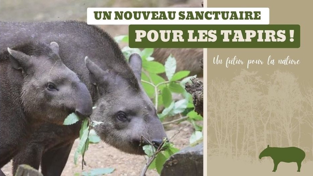 Vidéo de présentation de la collecte