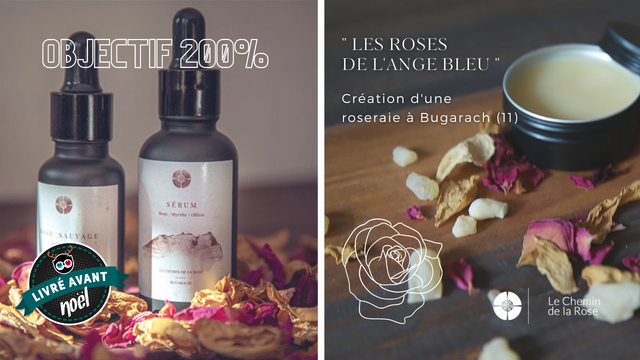 Image de couverture de la collecte " Les Roses de l'Ange bleu " - Une roseraie à Bugarach