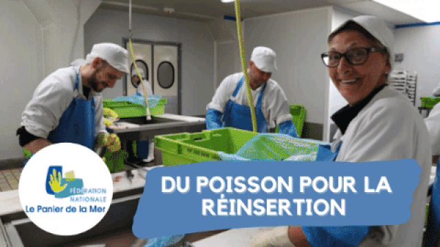 Vidéo de présentation de la collecte