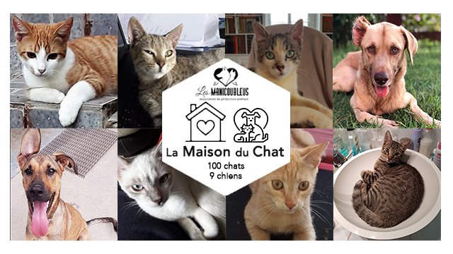 Imagen de portada del proyecto La Maison du Chat pour les animaux en détresse