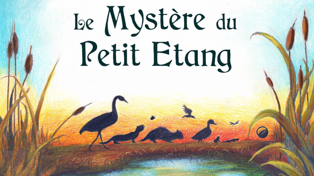 Image de couverture de la collecte Le mystère du petit étang