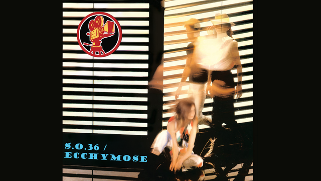 Cover image of the project S.O.36/Ecchymose - Court-métrage