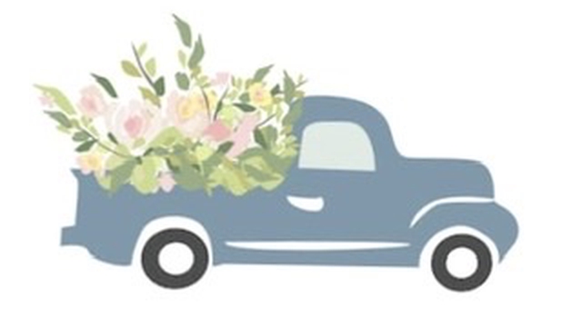 Cover image of the project Rose & Camélia